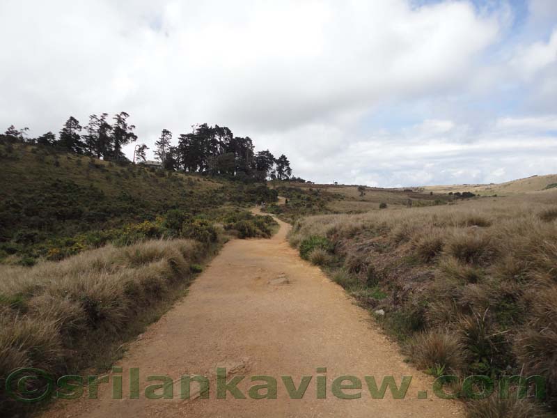 Horton Plains National Park and vicinity