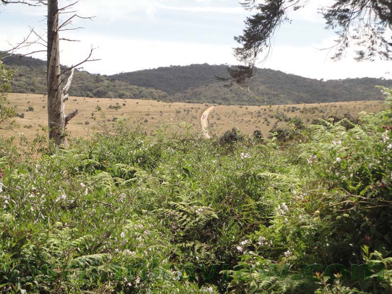 Horton Plains National Park and vicinity