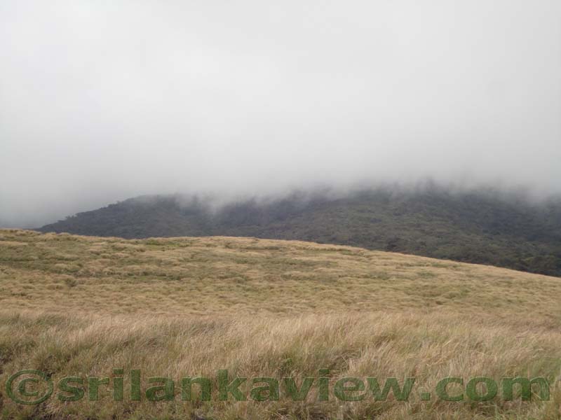 Horton Plains National Park and vicinity