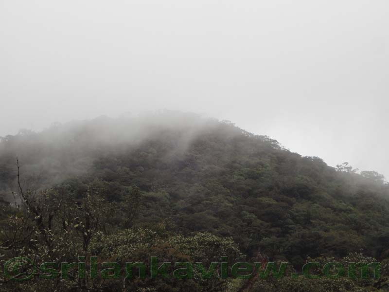 Horton Plains National Park and vicinity