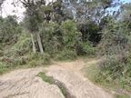 Landscape at Horton Plains, Sri Lanka