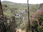 Landscape at Horton Plains, Sri Lanka