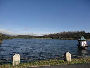 Along the way from Nuwara Eliya to Horton Plains, one comes across this beautiful resevoir at Black Pool area

Time-07.45 Hrs 
