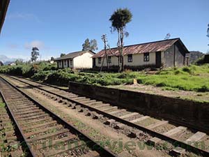 Pattipola Railway Station scenery
