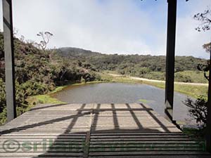 Scenery at Horton Plains National Park Visitor Entrance and Ticketing Office, Pattipola
