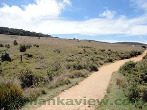 Trail leading from Red Bridge

Horton Plains National Park
