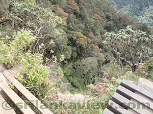 Mini World's End scenery and surrounding landscape

Horton Plains National Park
