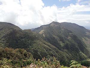 Mini World's End scenery and surrounding landscape

Horton Plains National Park
