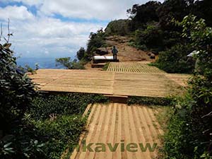 Scenery and surrounding landscape at the Greater World's End

Horton Plains National Park
