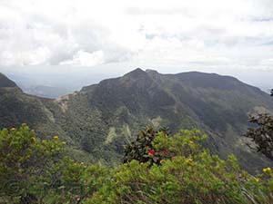 Scenery and surrounding landscape at the Greater World's End

Horton Plains National Park
