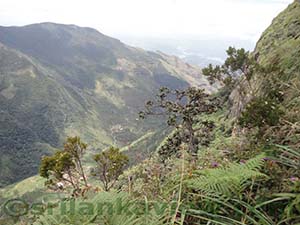 Scenery and surrounding landscape at the Greater World's End

Horton Plains National Park

