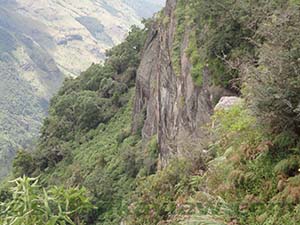 Scenery and surrounding landscape at the Greater World's End

Horton Plains National Park

