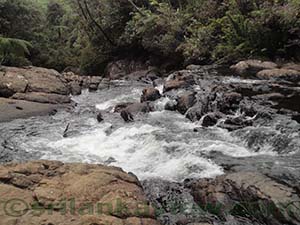 Baker's Falls, Landscape from the water pool below- water leaving the Baker's Falls

Horton Plains National Park
