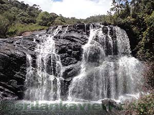 Scene from Baker's Falls view point platform

Horton Plains National Park
