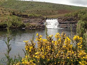 Chimney Pool surrounding

Horton Plains National Park
