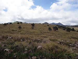 The rare view of Kirigalpotta and Totupola Kanda Mountains

Horton Plains National Park

