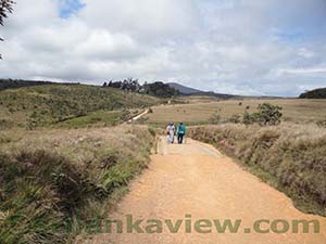 Coming to the last lag of the 9kM Trail

Horton Plains National Park
