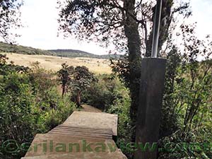 Entering World's End Trail at Horton Plains
