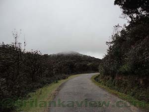 Leaving back Horton Plains National Park as the clouds are hovering low on the plains
