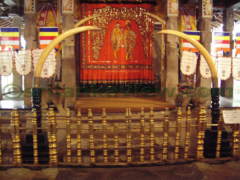The Chamber entrance to Ground Floor of the Tooth relic main Temple.Four elephant tusks and a gold plated fence can be seen.