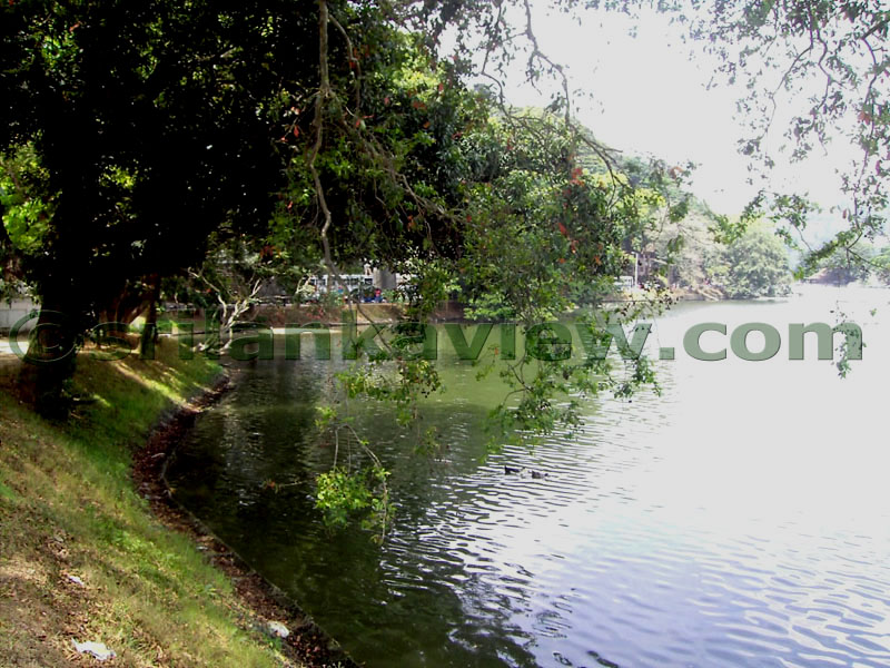 The Lake's bank near the Malwatta monastery.