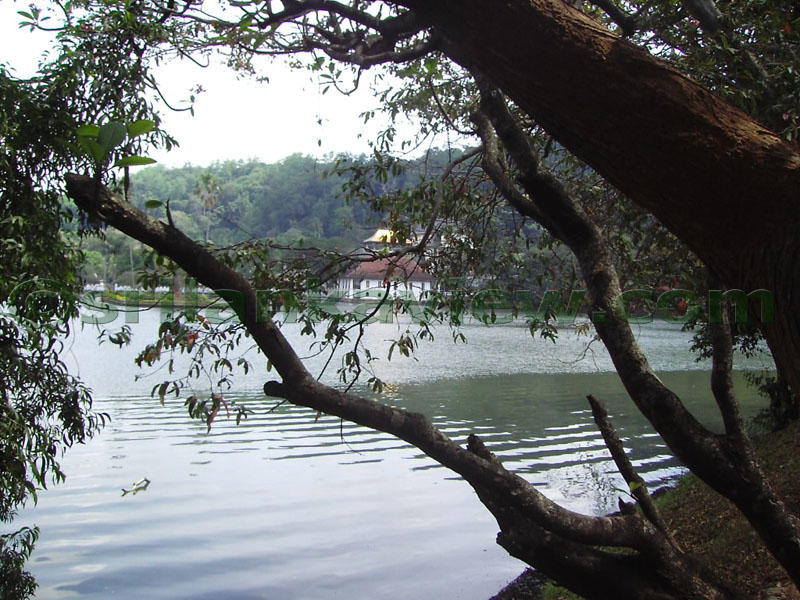 A view of Kandy Lake