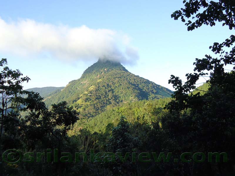 Along the route to  Deanston Mini World's End from Teldeniya