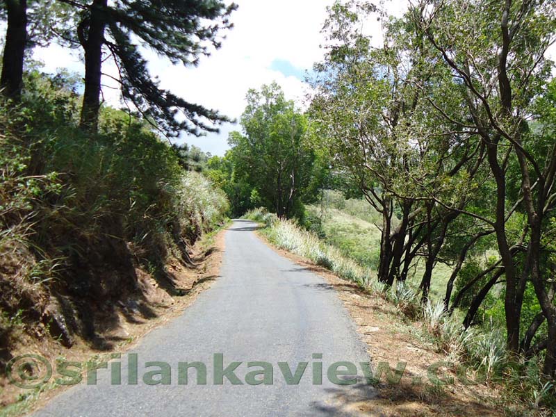 Along the route to  Deanston Mini World's End from Teldeniya