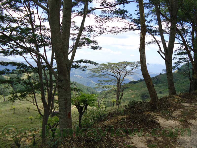 Along the route to  Deanston Mini World's End from Teldeniya