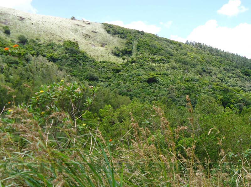 Along the route to  Deanston Mini World's End from Teldeniya