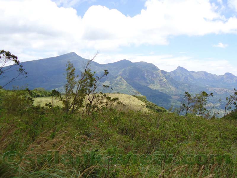 Along the route to  Deanston Mini World's End from Teldeniya