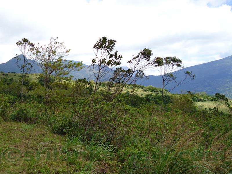 Along the route to  Deanston Mini World's End from Teldeniya
