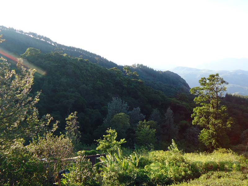 Along the route to  Deanston Mini World's End from Teldeniya