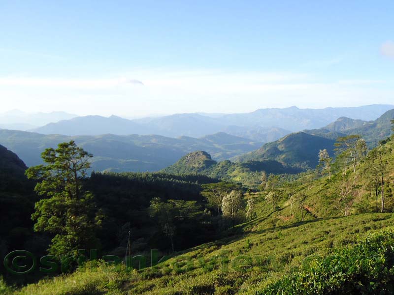 Along the route to  Deanston Mini World's End from Teldeniya