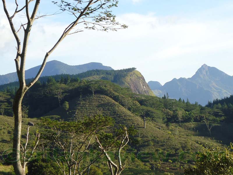 Along the route to  Deanston Mini World's End from Teldeniya