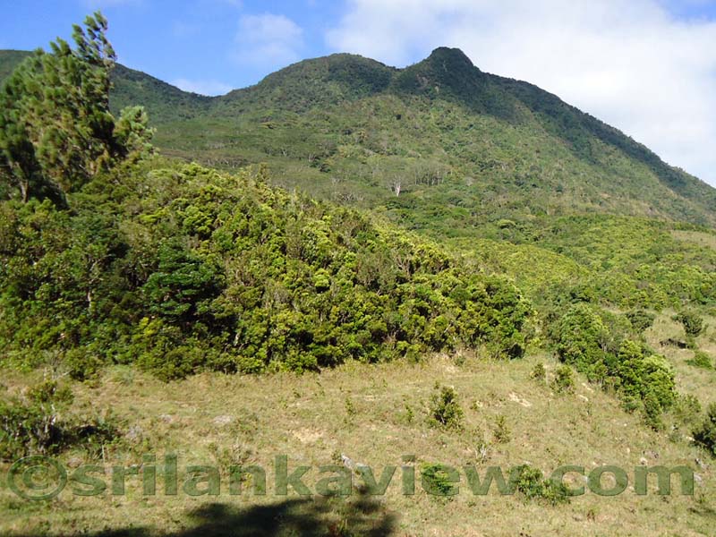 Along the route to  Deanston Mini World's End from Teldeniya