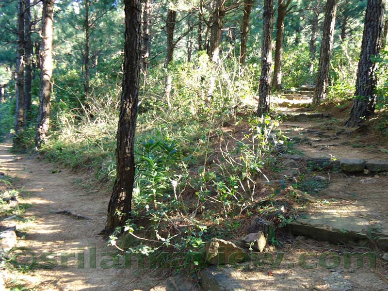 Along the route to  Deanston Mini World's End from Teldeniya