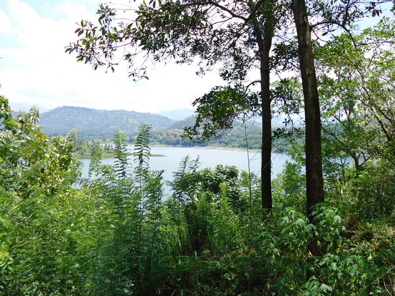 Along the route to  Deanston Mini World's End from Teldeniya