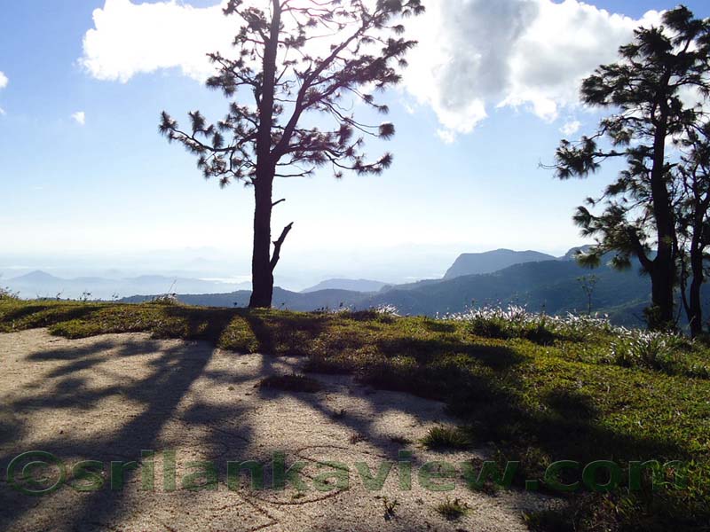 Along the route to  Deanston Mini World's End from Teldeniya