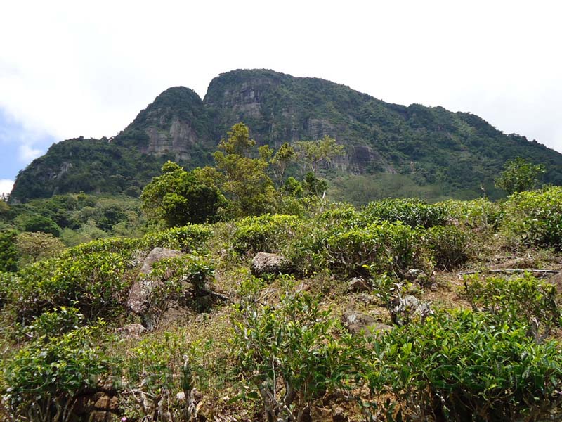 Along the route to  Deanston Mini World's End from Teldeniya