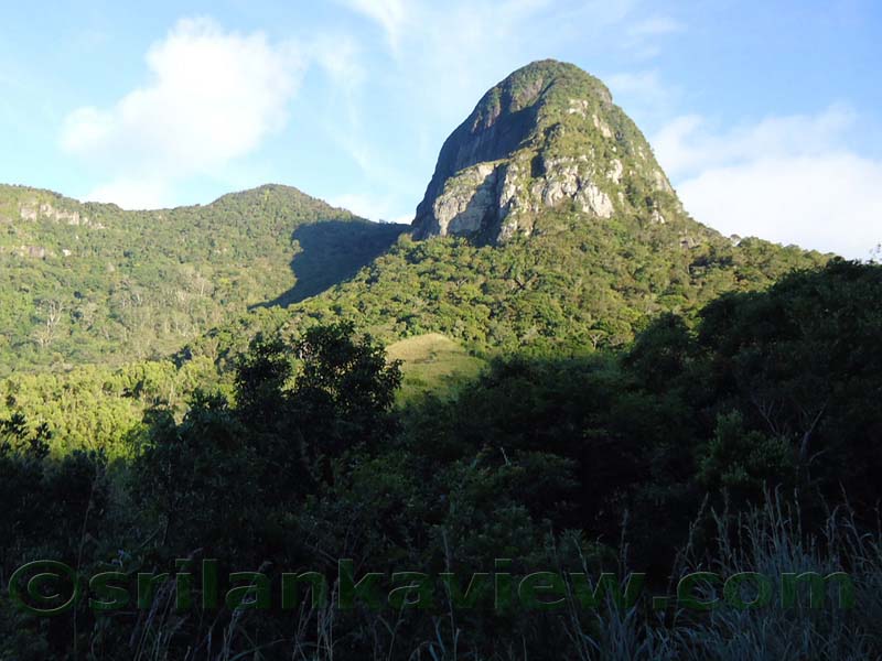 Along the route to  Deanston Mini World's End from Teldeniya