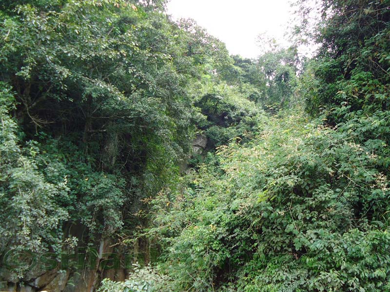 Along the route to Hulu Ganga from  Kandy