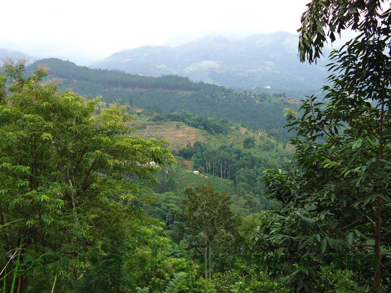 Along the route to Hulu Ganga from  Kandy
