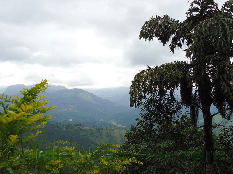 Along the route to Hulu Ganga from  Kandy