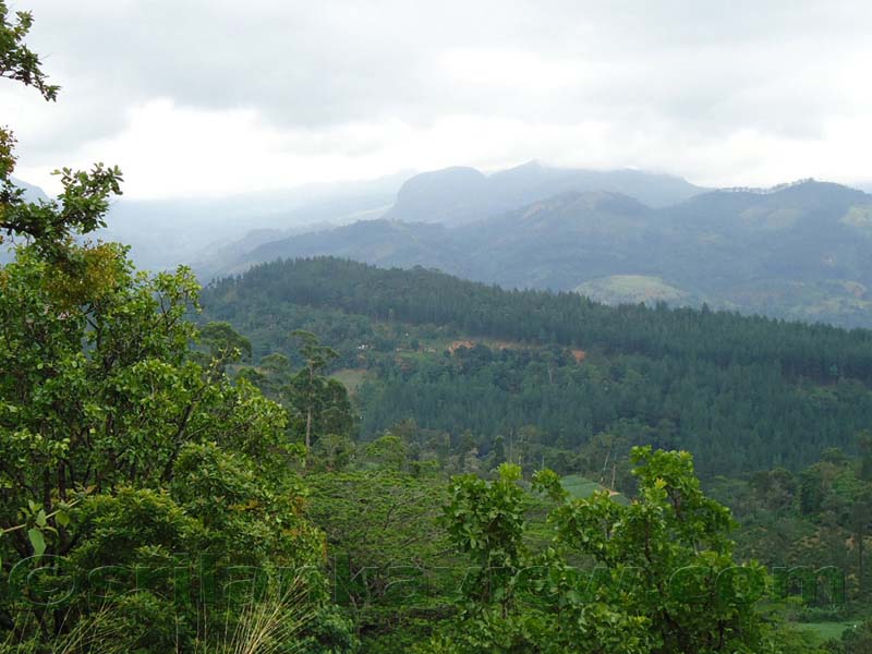 Along the route to Hulu Ganga from  Kandy