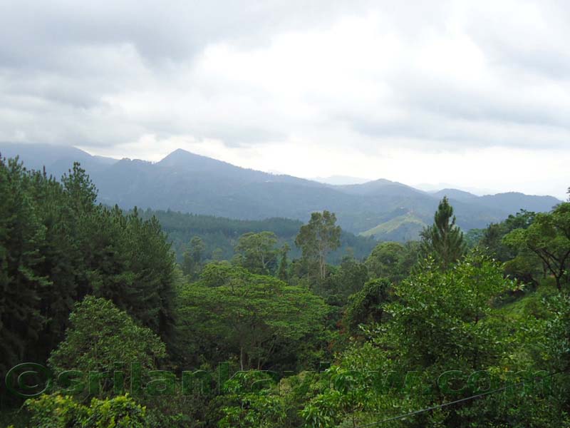 Along the route to Hulu Ganga from  Kandy