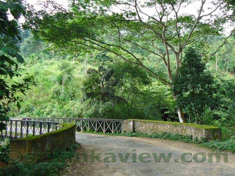 Along the route to Hulu Ganga from  Kandy