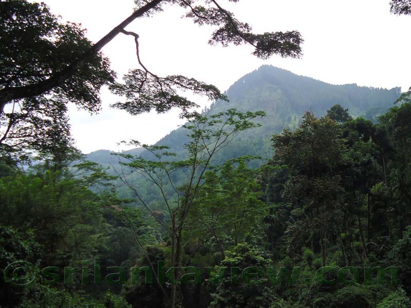 Along the route to Hulu Ganga from  Kandy