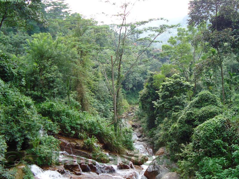 Along the route to Hulu Ganga from  Kandy