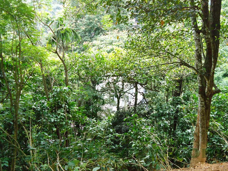 Along the route to Hulu Ganga from  Kandy